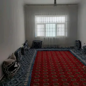  Arenda kateş 