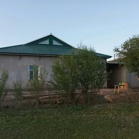 satlyk jay Hakykat geneslik
