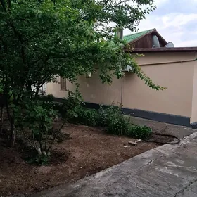 Satlyk plan jay Бикрова