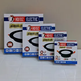 Horoz Alexa tegelek ichki spot