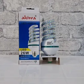 Akiwa lampa