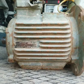 Diwigatel