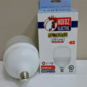 Horoz Premier led lampalar