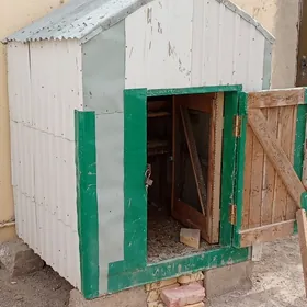 guş ketek