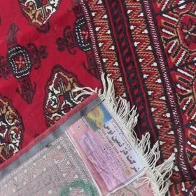 Haly-Daroşka