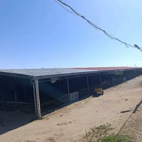 ferma