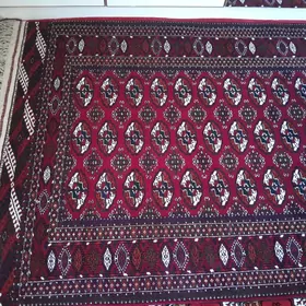 turkmen el halysy