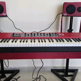 Nord piano 3