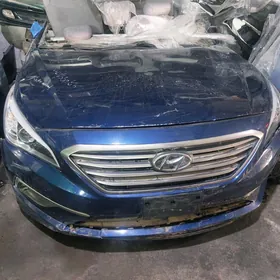 sonata 2017 morda