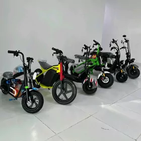 TIGIR BASEYKA GONCIK MATOR