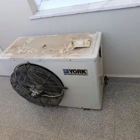 York kansaner dasky blok