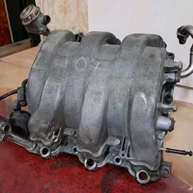 pompa pauk golowka 210 zapcas