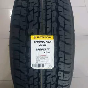 Dunlop 275.65 r17 teker
