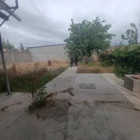 Arenda gami daca