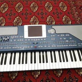 Pa 800 blok