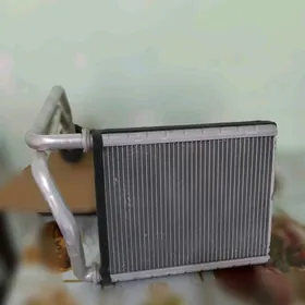 pec radiator salondaky