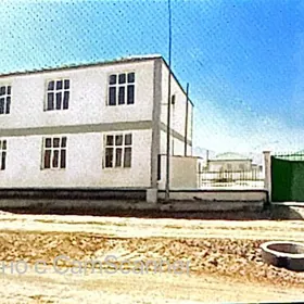 Gokdepe kotej
