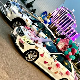MASHYN BEZEGLERI