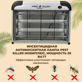 kill pest