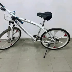 BMW tigir
