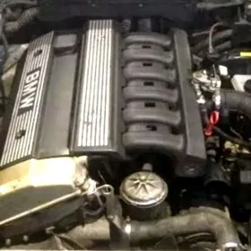 e34 şaýlar