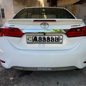 Haliji spoller