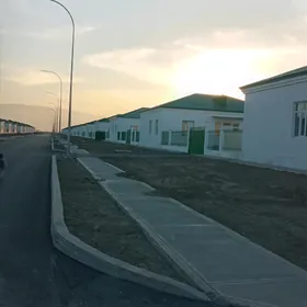 satlyk jay kor çay
