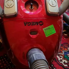 Tozanly sorujy