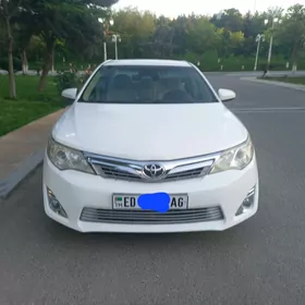 Toyota Camry 2013