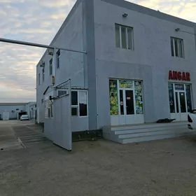 taÿÿar önimçilik
