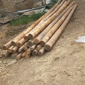 AGAÇ