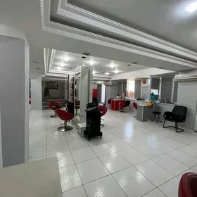 Salon satylyar