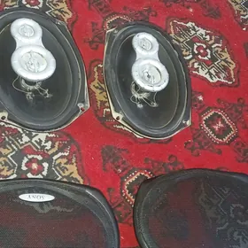 Sony kalonkalar
