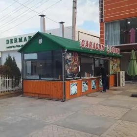 isgär gerek  powar muçnoý