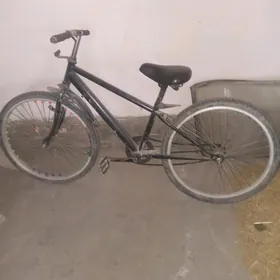 Salýut