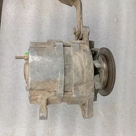 Zil dinama