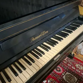 fortepiano pianino