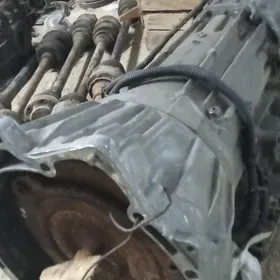 BMW E34 morda şaylary
