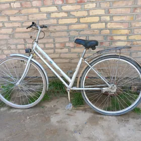 welik 27