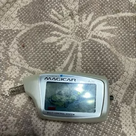 Pund maçikar