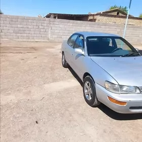 Toyota Corolla 1995