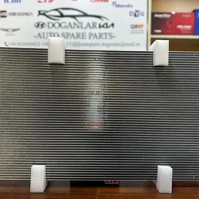 Sonata Radiator
