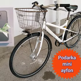 Tigir-YAPONKAsowgatly