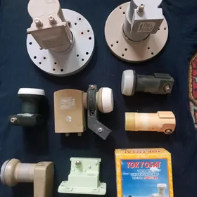 головки