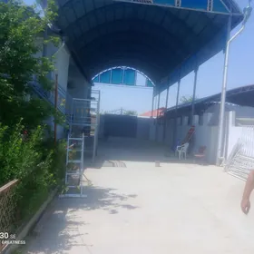 SATLYK JAÝ ANEW OPUTNYÝ