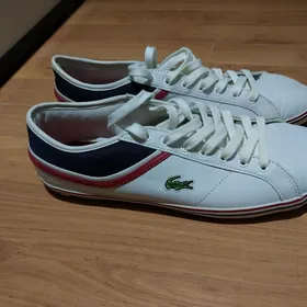 krasowka lacoste