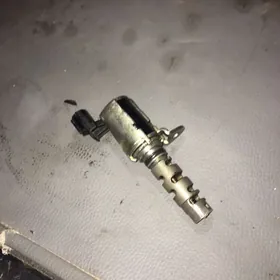 2.4 wanus datcik