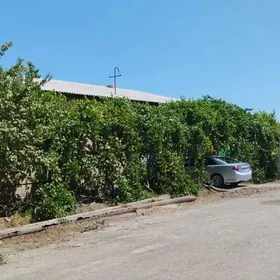Satlyk yada Obmen