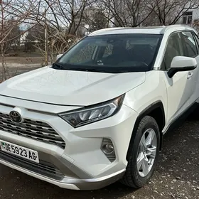 Toyota RAV4 2019