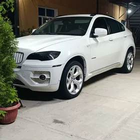 BMW X6 2010